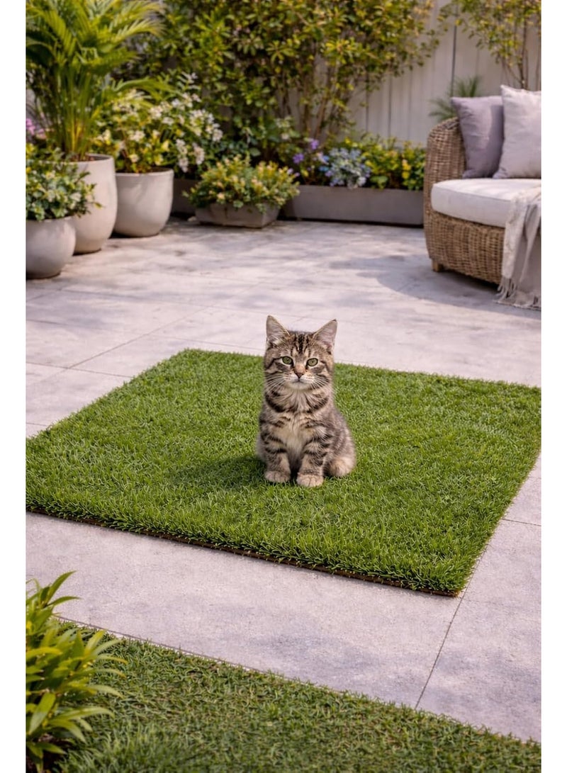 2cm artificial grass for dogs and cats – an alternative to an indoor garden – easy to clean and suitable for puppies and small dogs – non-slip base (80cm by 1 meter) - Image 3